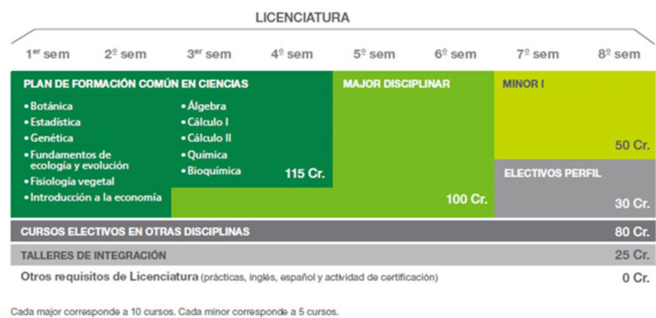 licenciatura