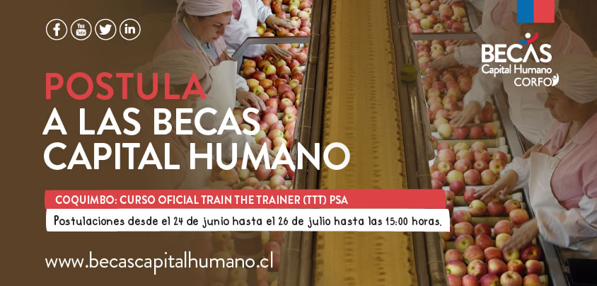 Curso Trainer Coquimbo