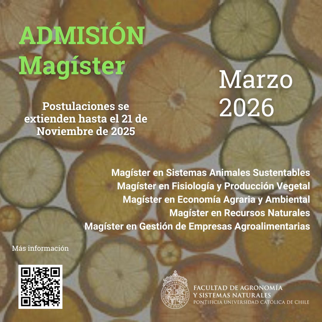 Postulación Magister extensión fecha