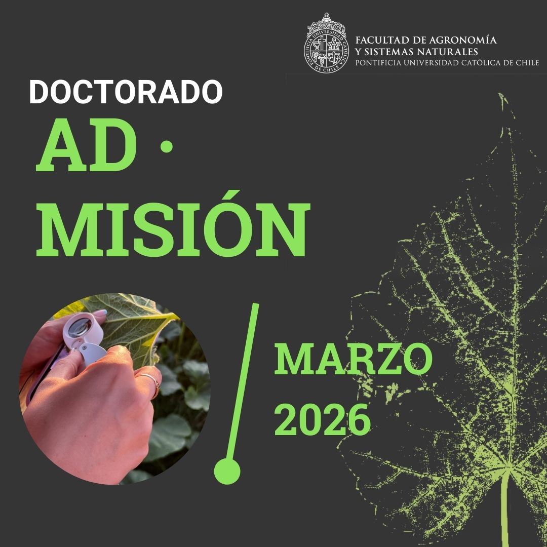Doctorado 2026