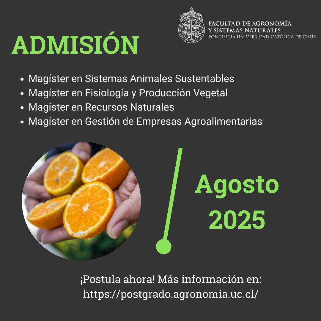 Magíster 2025-2