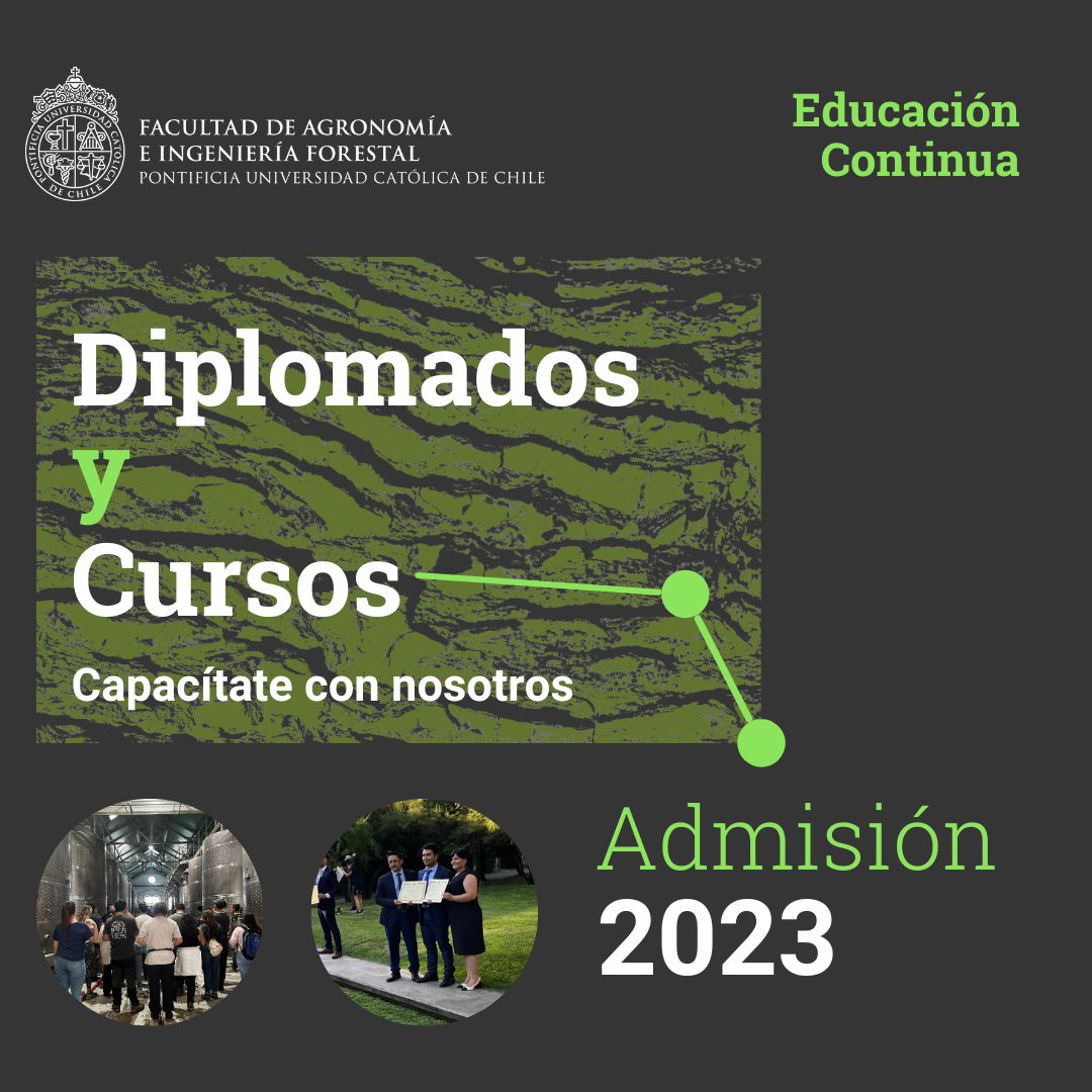 Diplomados FAIF nuevo