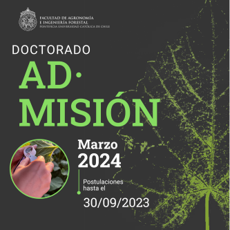 Doctorado cambio fecha post 500