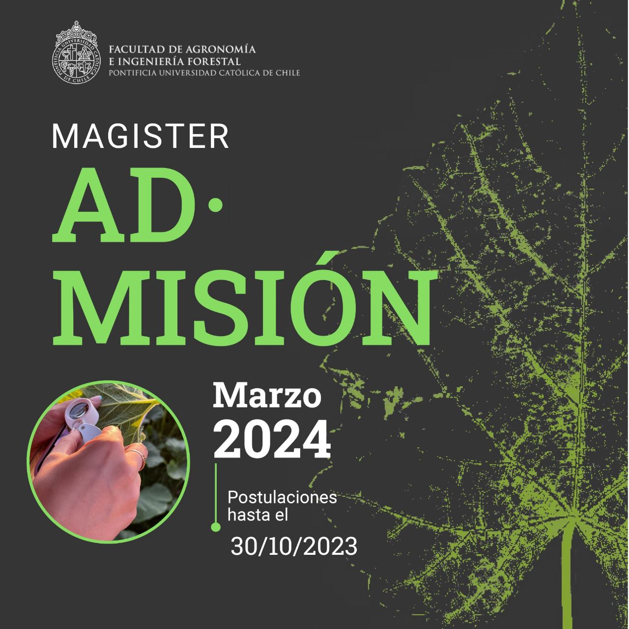 ingreso a magister en 2024