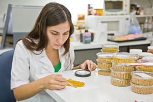 laboratorio botanica