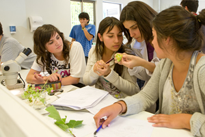 laboratorio botanica2