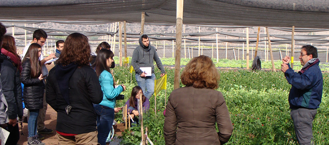 cvegetales mayo2019