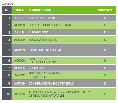 major ingeniero forestal