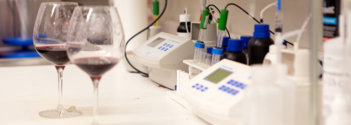 laboratorio vino