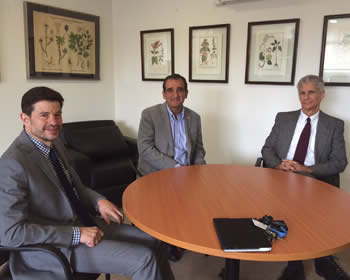 seminario-rainforest2-2014