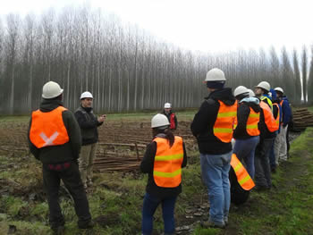 web ingenieria forestal2