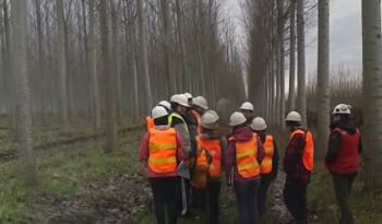 acreditacin forestal octubre2