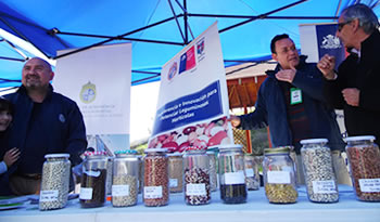 expoleguminosas final