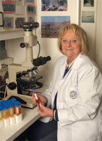 entrev gloria monteneg 2013