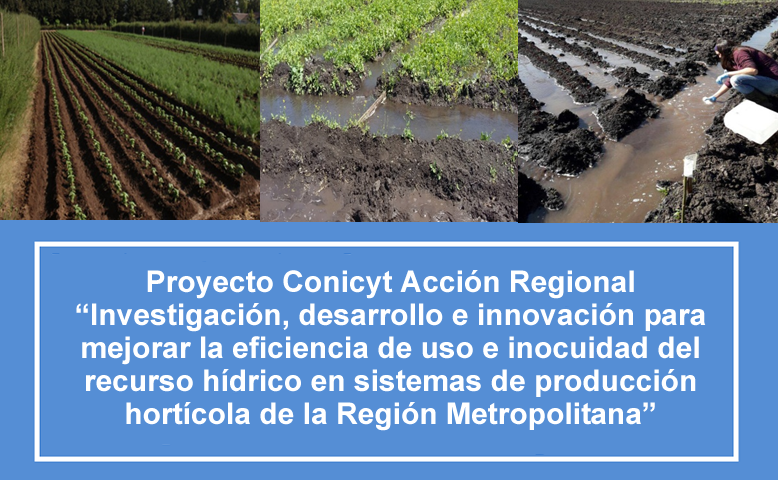 Tit proyecto hortalizas