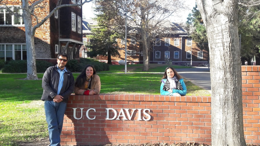 UCDavis1