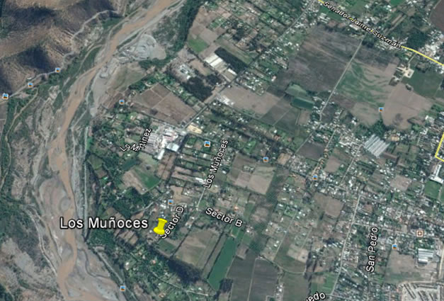 Los Muoces