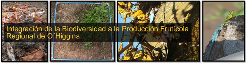 biodiversidad fruticola final5