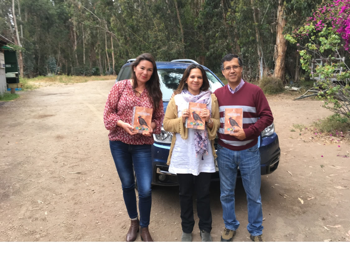 acti entrega manual