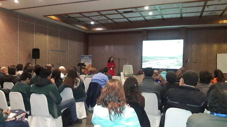 proyecto coquimbo agosto07