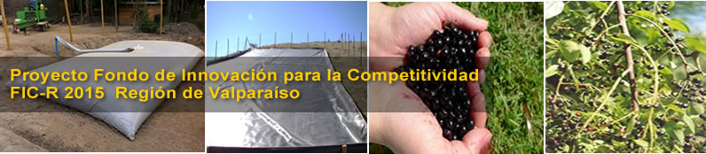 proyecto maqui ff