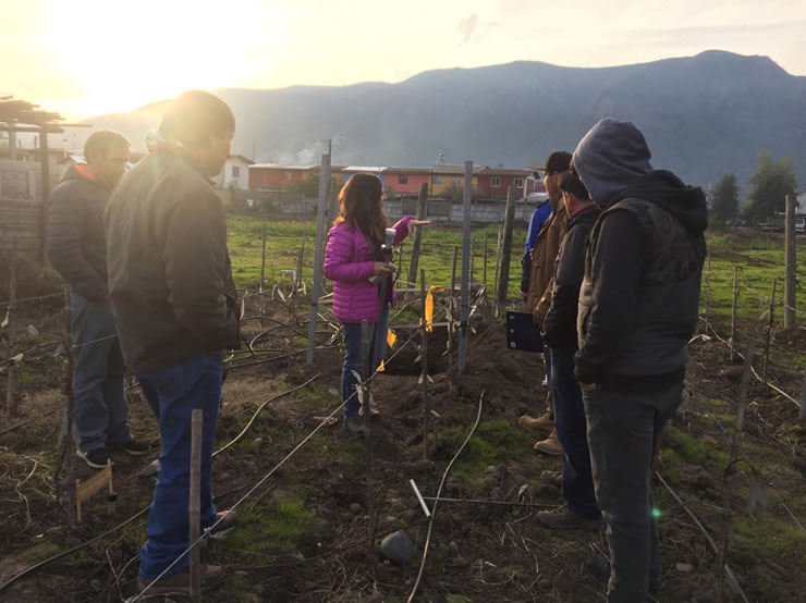 Nancagua 25 julio 01