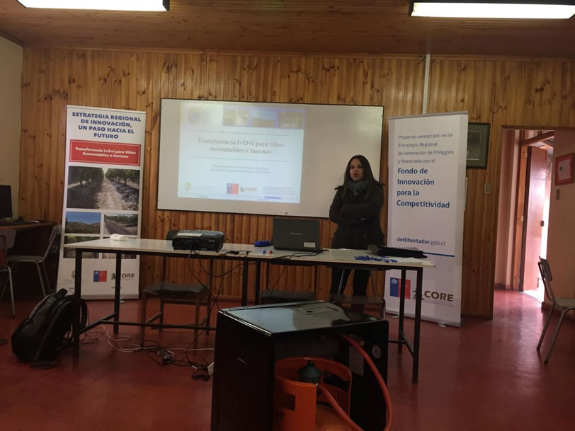 Nancagua 26 de julio 1