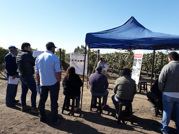 dia campo abril 2019