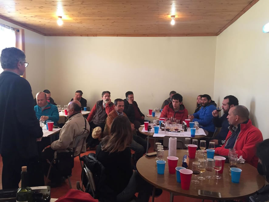 original fementacion vino Nancagua