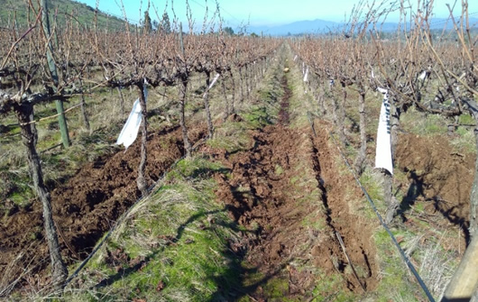 Polkura tratamiento riego